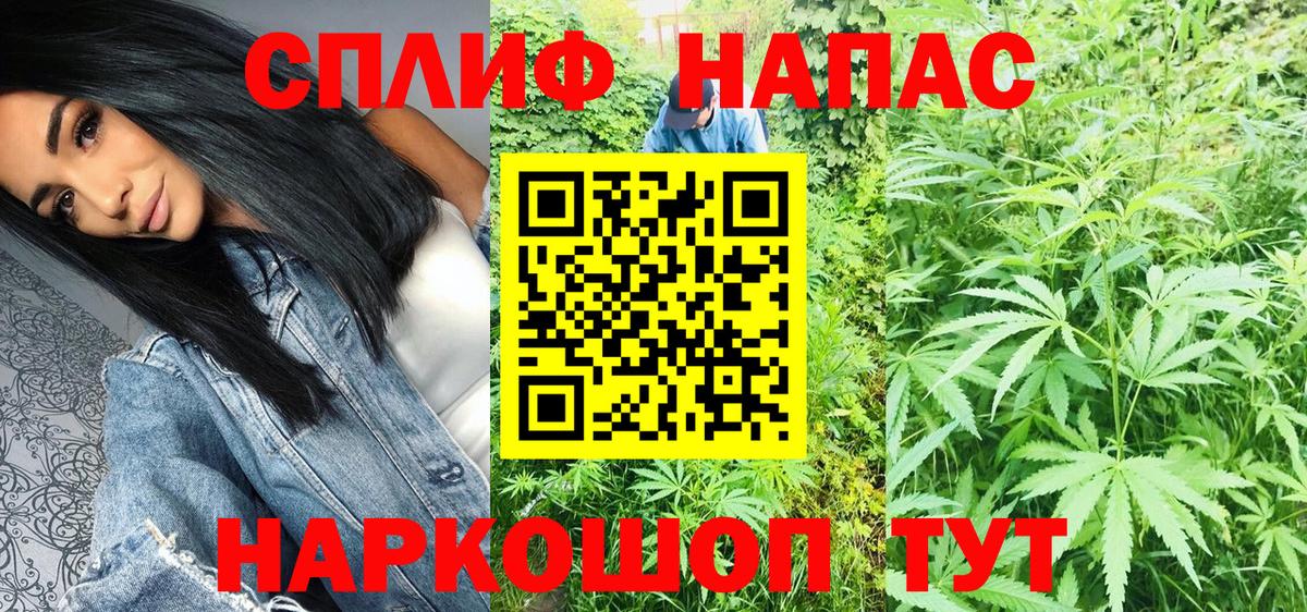 Конопля гибрид  Каннабис сатива  Каннабис White Widow  Вход с VPN  Заводоуковск 